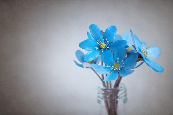 Fibromi uterini: che cosa sono, quali sintomi provocano, quali fattori li favoriscono